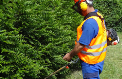 gm_leist_landschaft_02_400px gm_leist_landschaft_02_400px